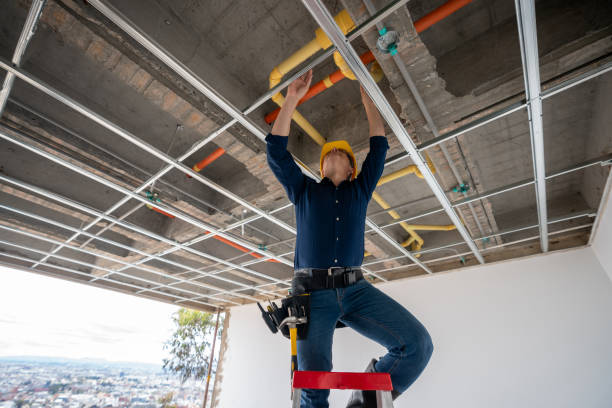 Best Best Plumbers Near Me  in Pawnee, IL