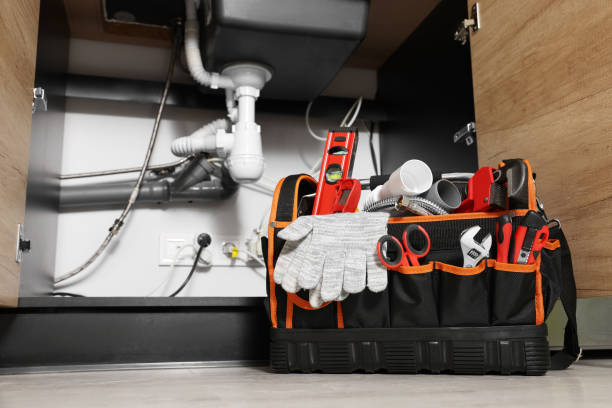 Best Plumbing Repair Near Me  in Pawnee, IL